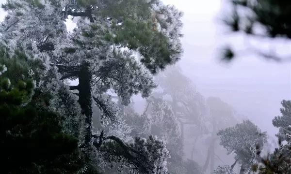 相亲认识一个月没确定关系还要继续吗？游戏画面